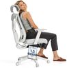 Desktronic Bürostuhl Verstellbarer Ergonomischer SitPro, Grau 3-Dimensional Armlehne, Integrierte 5-Wege-Lendenwirbelstütze Bild 2