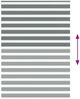 vidaXL Doppelrollo Dunkelgrau 160x200 cm Stoffbreite 155,9 cm Polyester 4014169 Bild 5