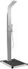 vidaXL Gartendusche mit Bodenelement WPC Edelstahl 3051288 Bild 2