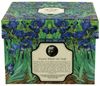 DUO ART GALLERY Fassbecher 430 ml IRISES New Bone China Porzellan Bild 3