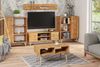 Raumhirsch Furniture Lowboard Focus, Stehendes Fernsehregal für das Wohnzimmer (Fernsehkommode, TV Schrank, TV Board stehend), Elegant & Funktional Bild 3