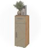 Midischrank Irma Goldkraft Eiche 30 x 81 cm Vicco Bild 5