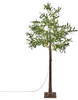 Outdoor Weihnachtsbeleuchtung LED Olivenbaum 180 cm grün CELIONI Bild 5
