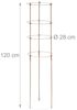Rankhilfe 120 cm 2er Set braun Bild 4