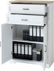 Stauraumelement Büro Kommode JASMIN 12 Pinie weiß Nachbildung Bild 3