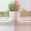 vidaXL Voile Vorhänge mit Ösen 2 Stk. Rosa 140x300 cm 4102100 Bild 3