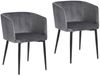 HTI-Living mit Armlehne und Metallgestell Polsterstuhl 2er Set in Grau Samtbezug Bild 2