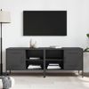 vidaXL TV-Schränke 2 Stk. Schwarz 68x39x50,5 cm Stahl 842995 Bild 3