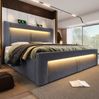 Polsterbett, Samt mit Stauraum, LED & USB-Anschluss, 160x200 cm, Grau, ohne Matratze Bild 5