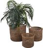 Rattan Korb Eda Braun mit Henkel M Bild 3