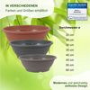 Heimwerkercenter Pflanzschale MePla Pflanzschale mit Bodenloch ø20-60 cm, aus wetterfesten Kunstoff Bild 3