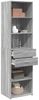Highboard, BuffetSchrank, Büroschrank Grau Sonoma 50x42,5x185 cm Holzwerkstoff Bild 3