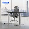FLEXISPOT Schreibtisch Elektrisch Höhenverstellbarer Schreibtisch EC5 LITE mit Dualmotor (25MM einteiliger Tischplatte & 3-fach Teleskop, 4 Speicherhöhen & Antikollisionssystem), 120x80/140x80/160x80/180x80 Bild 2