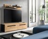 TV Element inkl. Wandboard (B/H/T: 170x38x33 cm) in Artisan Nachbildung Bild 5