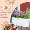 GarPet Balkonkasten 4er Set Blumen Kasten Balkon Geländer Wasserspeicher Rattan Weiß 60 cm Bild 3
