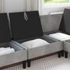 vidaXL Mittels Sofa mit Stauraum Hellgrau Samt 42027105 Bild 3