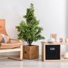 12 x Aufbewahrungsbox Stoff schwarz Bild 2