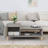 vidaXL Couchtisch Betongrau 100x50x45 cm Holzwerkstoff 821128 Bild 3