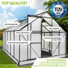 BRAST Gewächshaus Aluminium mit Fundament rostfrei 6mm Platten 380x250x205cm Grau - TÜV geprüft Bild 3