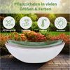 matches21 HOME & HOBBY Blumentopf Große Vintage Outdoor Pflanzschale oval 34 cm creme-weiss (1 St), Längliche Deko-Schale als wetterfeste Garten-Deko Blumen-Schale Bild 4