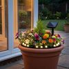 LED Steckleuchte, Blumentopfleuchte, Schwarz, Polypropylen, H 5 cm Bild 2