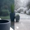 CLP 2er Set Pflanzkübel rund wetterbeständig in Steinoptik mit Ablauf,anthrazit Bild 5
