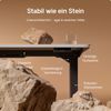 Desktronic HomePro Elektrisch höhenverstellbarer Schreibtisch 120x60cm Schwarz/Weiß mit Memory-Funktion, Anti-Kollisions Technologie, USB-A und USB-C-Ladeanschlüssen Bild 4