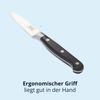 KHG Gemüsemesser Messer Küchenmesser | 8,89 cm Klinge aus rostfreiem Stahl | ergonomischer Griff mit Fingerschutz, 3-fach vernietet Bild 3