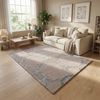 Designer Teppich - Heritage 230 x 160 cm - silber Bild 2