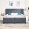 vidaXL Boxspringbett mit Kopfteil Dunkelgrau 200 x 200 cm Samt 3340947 Bild 3