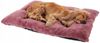 Pamek Hundekorb Tierbett, Hundebett, Katzenbett waschbar Flauschiges 100/70 cm, Strapazierfähigen Pelzstoff, Sehr weich und küschelig Bild 2