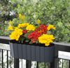 Spetebo Pflanzschale Balkon Blumenkasten mit Halterung 39 x 13 cm (Set, 2 St, Balkon Blumenkästen), Kunststoff Geländer Pflanztopf in anthrazit Bild 3