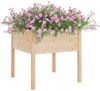 vidaXL Pflanzkübel 2 Stk. 70x70x70 cm Massivholz Kiefer 810810 Bild 3