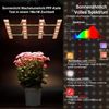 Rosnek Pflanzenlampe LED Vollspektrum 40–160W mit 156–624 LEDs, LED fest integriert, Ultra Bright, für Wachstum, Blüte & Zimmerpflanzen Bild 3
