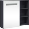 vidaXL Spiegelschrank mit LED-Beleuchtung Grau 60x13x52 cm 357970 Bild 4