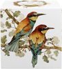 DUO World of Birds 400 ml Becher mit Teesieb EUROPEAN BEE-EATER New Bone China Porzellan Bild 4