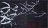 GRUND COLANI 23 Badematte 50x60 cm Anthrazit Bild 2