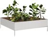 vidaXL Hochbeet 100x100x33,5 cm Edelstahl 851028 Bild 3