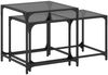 vidaXL Satztische 2 Stk. mit Glasplatte Schwarz Stahl 845985 Bild 2