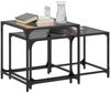 vidaXL Satztische 2 Stk. mit Glasplatte Schwarz Stahl 845985 Bild 3