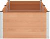 vidaXL Hochbeet Braun 250 x 100 x 54 cm 42039010 Bild 4
