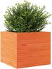 vidaXL Pflanzkübel Wachsbraun 80x80x68,5 cm Massivholz Kiefer 3282481 Bild 4