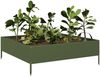 vidaXL Hochbeet Olivgrün 100x100x33,5 cm Stahl 851027 Bild 3