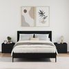 vidaXL Wand-Nachttische 2 Stk. Schwarz 45x30x35 cm 848328 Bild 3
