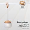Skandika LED Gartenleuchte Campinglampe Tufjord, aufladbar, Zeltlampe, hängend, 3 Lichtmodi, 180 - 200 Lumen, 3000 K Warmweiß, Akku 2000 mAh, Micro-USB Anschluss Bild 4