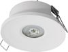 AWEX Notleuchte AXP IP65/20 ECO LED 1W 125lm 3h einseitig AT weiß (AXPO/1W/E/3/SE/AT/WH) Bild 1