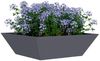vidaXL Garten-Pflanzgefäß 5 pcs Anthrazit 50 x 50 x 15 cm 873829 Bild 3