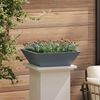vidaXL Garten-Pflanzgefäß 5 pcs Anthrazit 50 x 50 x 15 cm 873829 Bild 4