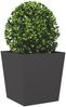 vidaXL Pflanzkübel 2 Stk. Schwarz 50x50x50 cm Stahl 851067 Bild 4