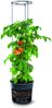 Prosperplast Tomatentopf Kunststoff anthrazit Bild 2
